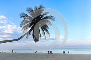 Coconut palm tree on beautiful white sandy beach and cloudy blue sky with blurred background of tourists, nice sea view tropical