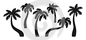 Coconut palm tree black glyph set tropical vector
