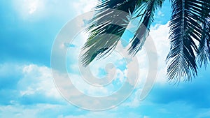 Coconut palm tree on Blue clouds sky background, beautiful view landscape