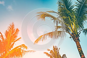 Coconut palm tree in golf course sky in vintage or warm tone for backÃ Â¸Ârop