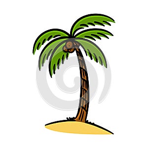 Coconut palm tree isolated illustration on white background