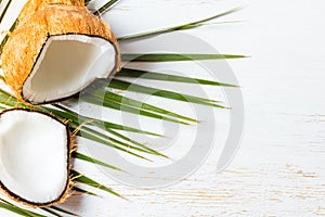 Coconut on palm tree leave, white background. Top view