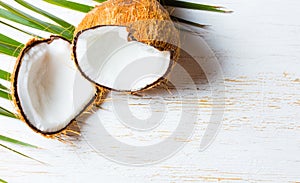 Coconut on palm tree leave, white background. Top view