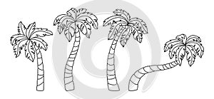 Coconut palm tree line doodle set tropical vector