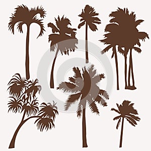 Coconut palm tree silhouette illustration