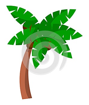 Coconut palm tree on a white background. Bent palm tree with large green leaves cartoon style