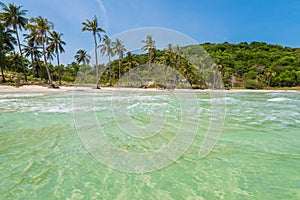 Coconut palm trees at the  Bai Sao beach