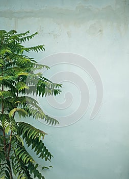 Coconut palm trees, beautiful tropical background, vintage filter