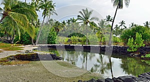 Coconut palm trees on mixed sand and lava beach, Puuhonua O Honaunau Place of Refuge National Park, Hawaii photo