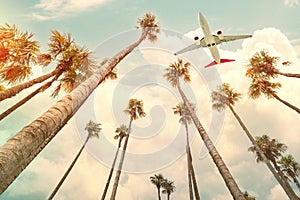 Coconut palm trees and modern airplane is going to tropical sea beach over summer sky background
