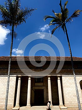 Coconut palm trees on the Nairobi Museum Building in Kenya east African