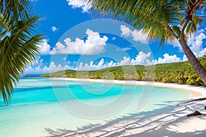 The coconut palm trees overlook the Flamenco beach.