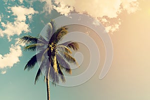 Coconut palm trees and shining sun with vintage effect