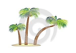 Coconut palm trees small tropical island