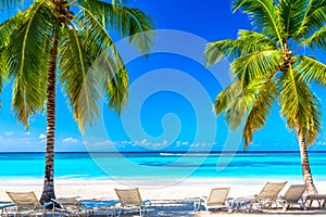 Coconut palm trees with sunloungers on the caribbean tropical beach. Saona Island, Dominican Republic. Vacation travel background