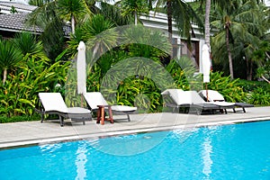 Coconut palm trees and tropical garden surrounding swimming pool at upscale resort with row of lounger chairs white cushion,