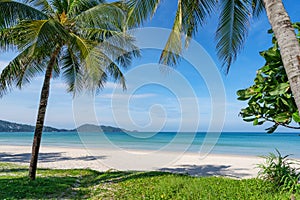 Coconut palm trees and turquoise sea in phuket patong beach. Summer nature vacation and tropical beach background concept