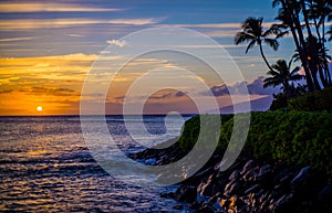 Coconut palms, lava shoreline, maui sunset