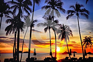 Coconut palms on sand beach in tropic on sunset