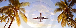 Coconut palms tree and airplane at sunset. Passenger plane above tropical island.