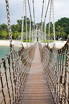 Coconut palms and tropical vegetation.