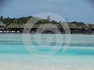 Coconut palms and water huts on paradise beach, Maldives