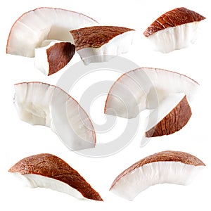 Coconut. Pieces isolated on white. Collection