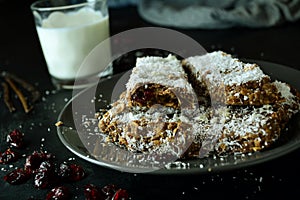 Coconut Protein Bars with Dried Cranberries