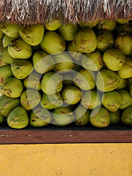 Coconut Sale photo