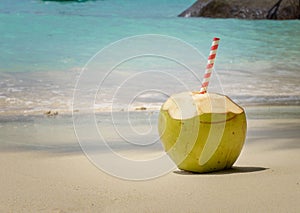Coconut on the sand and exotic