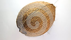 coconut seed isolated in white and clean background food ingredients