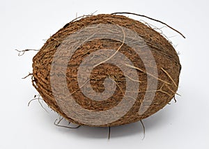 Coconut seed