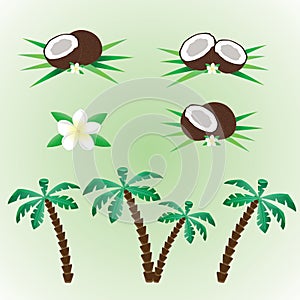 Coconut set