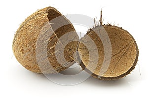 Coconut shell