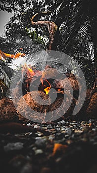 coconut shell as a substitute for wood charcoal to be used as a fire