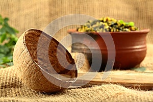 Coconut shell spoon- from South India.