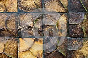 Coconut shell wall close up