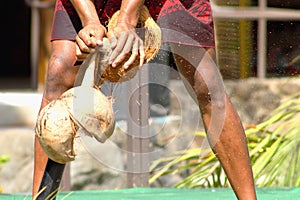 Coconut shuck