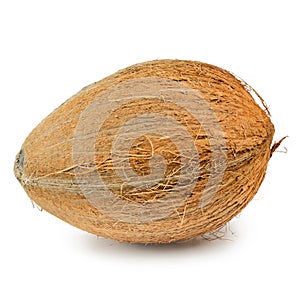 Coconut