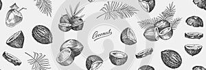 Coconut sketch. Tropical food and palm leaf. Retro ink style. Hand drawn vector illustration for market, menu, label