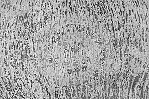 Coconut skin texture for background, gray colour
