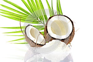 Coconut slice. Coco pieces isolated on white. Coconut with leaves.