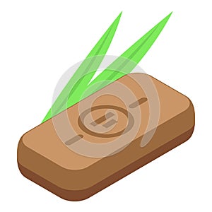 Coconut soap icon isometric vector. Cosmetic cream