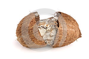 Coconut spoiled with mold isolated on white background