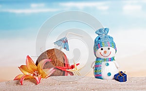 Coconut, starfish, flower, snowman and Christmas present against sea.