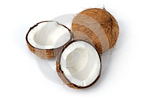 Coconut still-life isolated