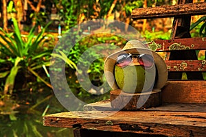 Coconut with straw hat and bright sunglasses stand on the bench