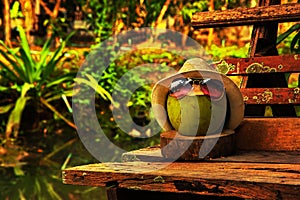 Coconut with straw hat and bright sunglasses stand on the bench in warm tone