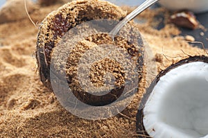 Coconut Sugar photo