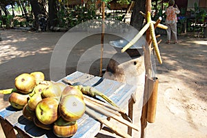 Coconut sugar made from Asian Palmyra palm, Toddy palm, Sugar palm